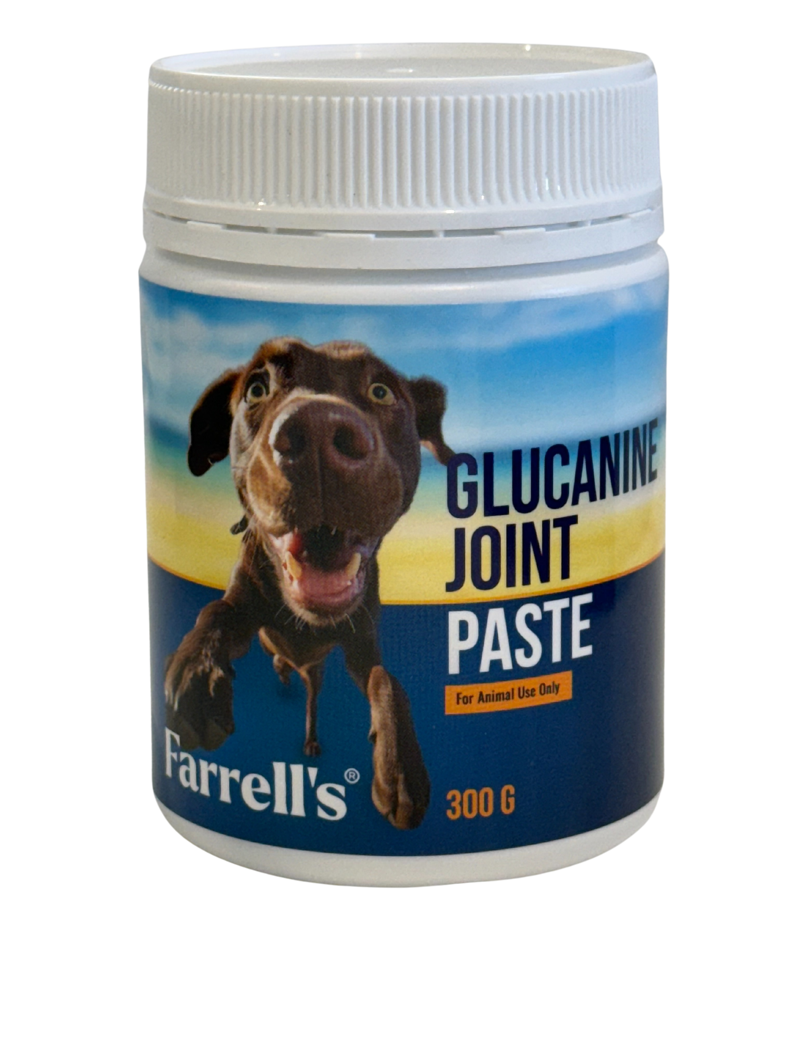 Glucanine Joint Paste 300g